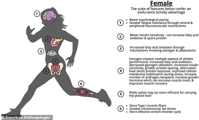 The researchers found that the female body structure would have been an advantage in hunting