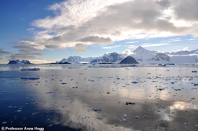 Pictured is the icy coastline of the Antarctic Peninsula (the part of Antarctica that sticks out from the mainland like a tail)