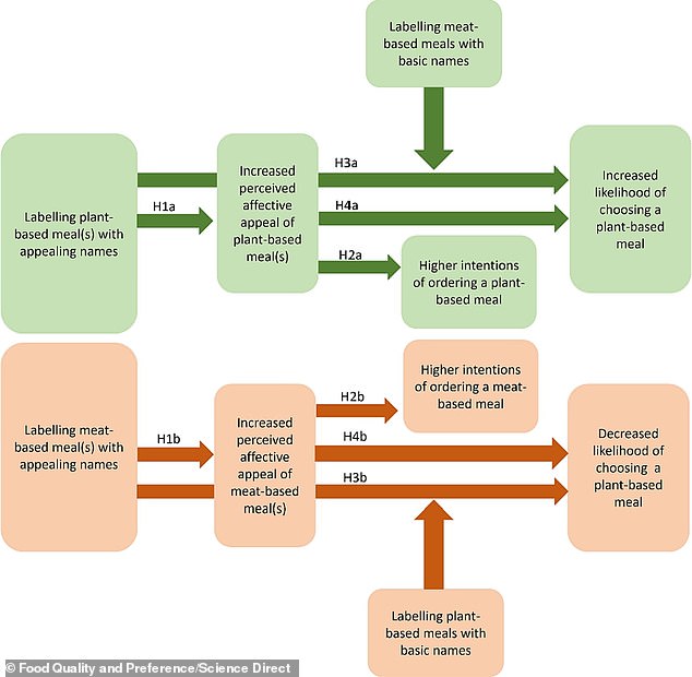 Researchers found that catchy meal names (compared with basic names) increased the perceived emotional appeal of meals