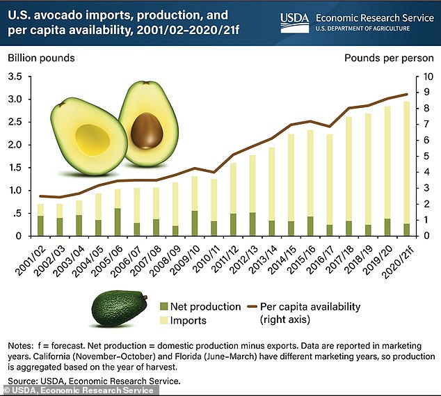 US consumer demand for avocados has risen steadily, but domestic production has declined.  Mexico makes up the bulk of the difference.  From 2001 to 2003, the United States imported an average of 55 million pounds of avocados each year.  From 2019 to 2021, this annual average reached 2.25 billion pounds.  In that time period, 88% of imports came from Mexico