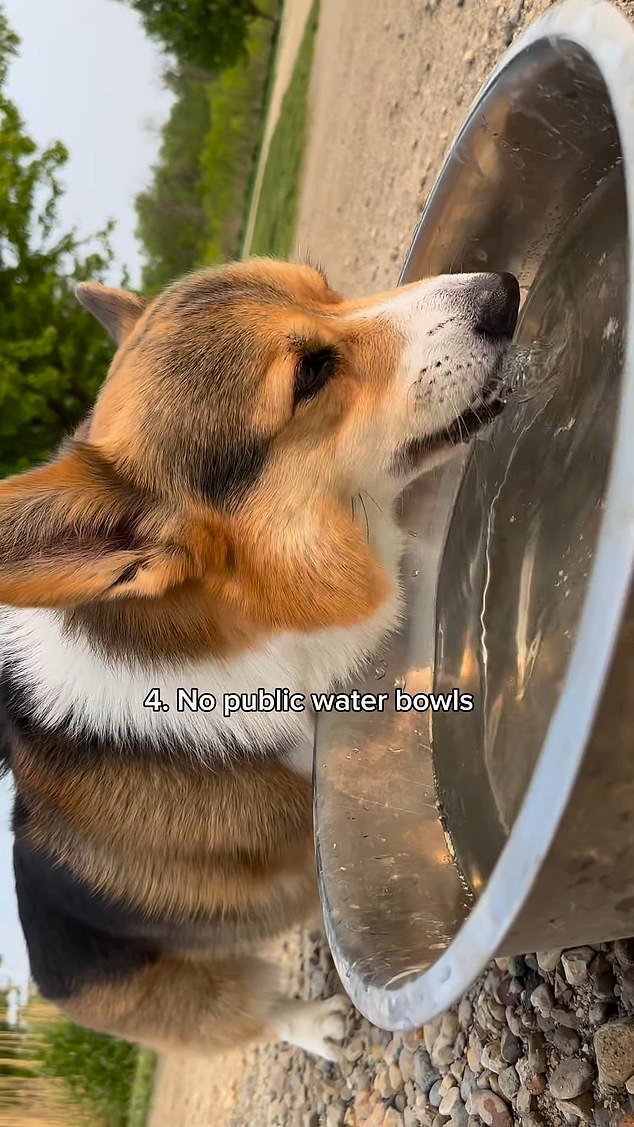 Some dog parks have water bowls for animals that roam in warm climates and can be used by hundreds of dogs per day if the location is popular