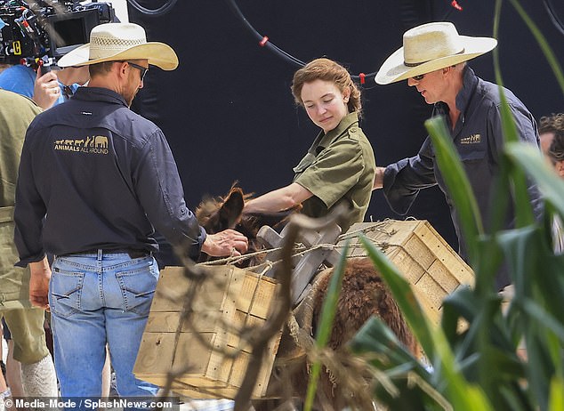 During the scenes, Sydney was seen securing two wooden boxes onto a donkey