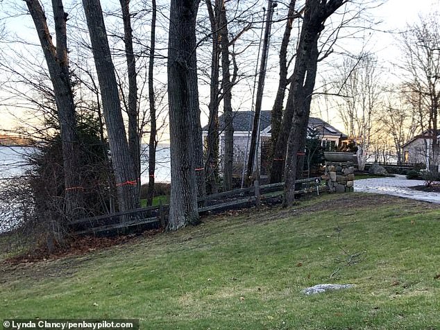 Trees are seen shrouded in red tape on December 1, 2022, amid the investigation into the herbicide