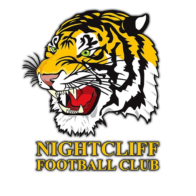 Nightcliff president Mark Dodge said the club was disappointed in the episode after Breed accused the club of fielding boys on a girls' team