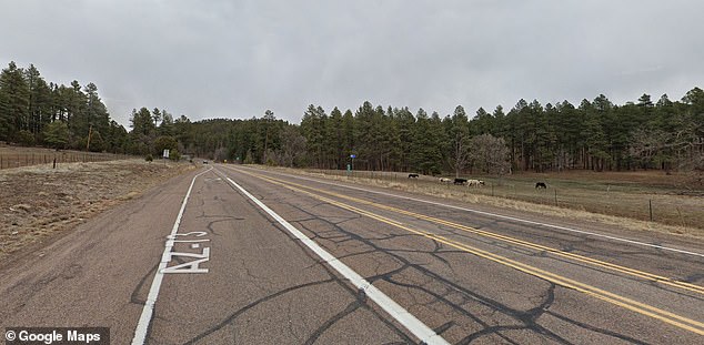 The crash site in eastern Arizona