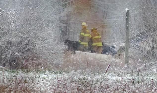 Emergency services at the scene of an accident in Ludington, Michigan