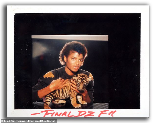 Michael Jackson with a baby tiger.  Zimmerman recalled that Michael Jackson was 