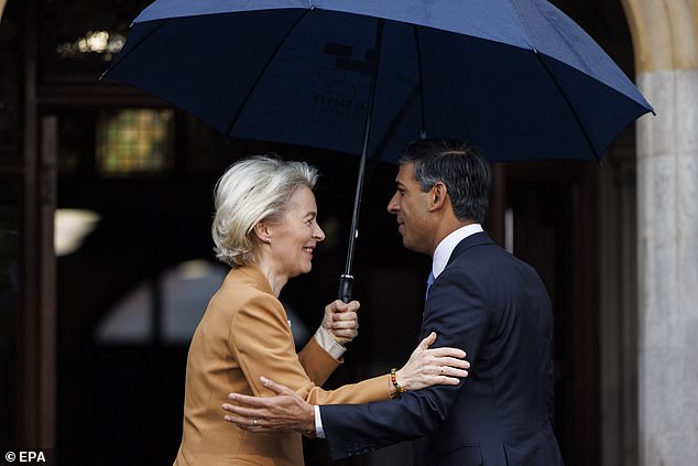 Ursula von der Leyen (L) meets British Prime Minister Rishi Sunak at the AI ​​Safety Summit in Bletchley Park, Milton Keynes, Great Britain, November 2, 2023