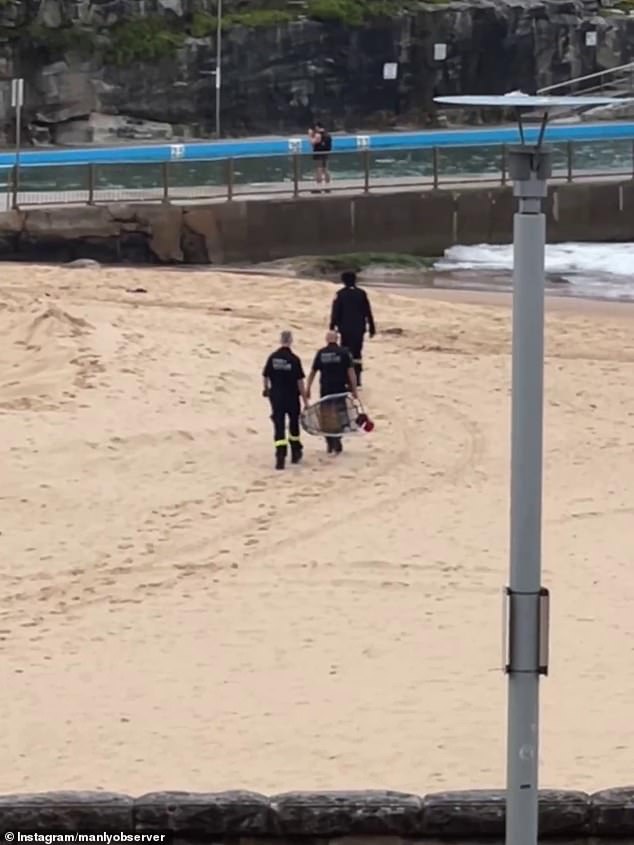 1701283628 339 Boy plunges off cliff near popular Sydney beach as paramedics