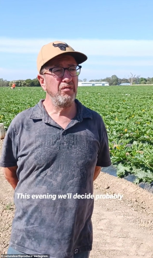 Victorian farmer Ross Marsolino (pictured) criticized the supermarket giants and said they should cut fruit and vegetable prices