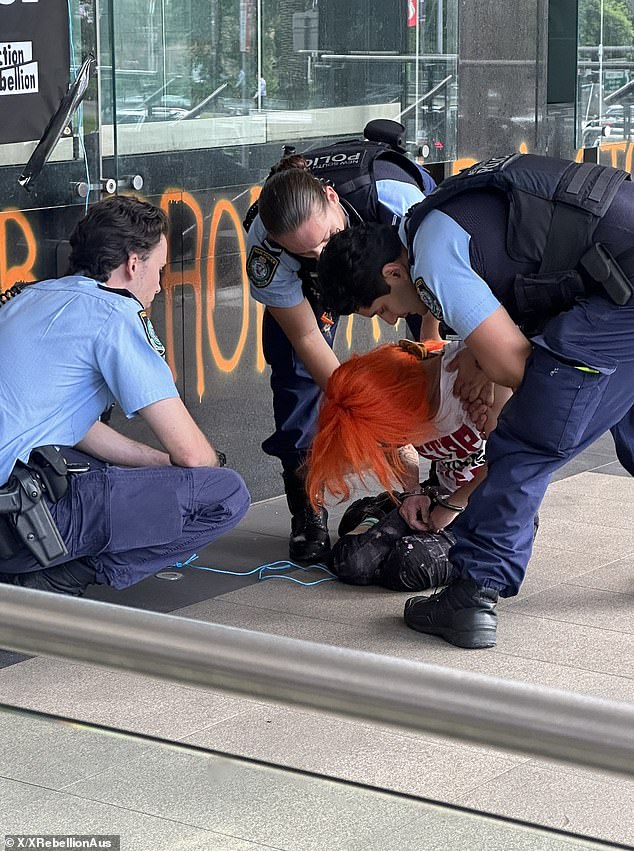 NSW Police arrived within 15 minutes and arrested two protesters, aged 35 and 76