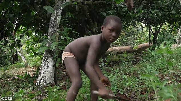 Even children who do go to school carry machetes for harvesting before and after class