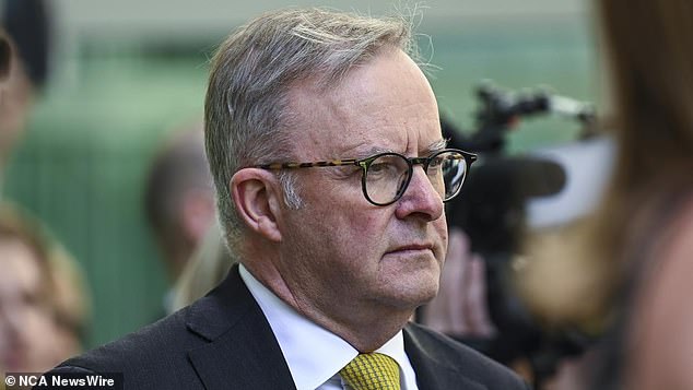 Prime Minister Anthony Albanese has called on men in Australia to tackle high rates of domestic violence and abuse by making a statement 