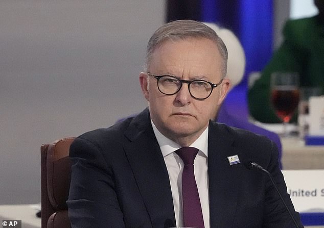 Anthony Albanese's (pictured) approval rating among Australian voters has sunk to its lowest level since Labor won the May 2022 federal election