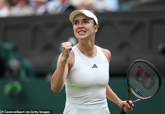 Elina Svitolina has risen to world number 25 after emotional runs at Wimbledon and French Open