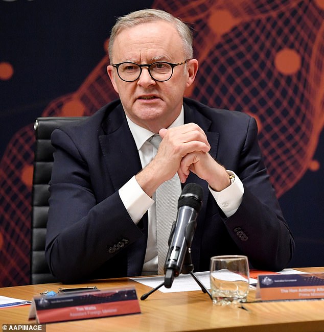 The Australian government approved 860 visas for Palestinians between October 7 and November 20 (photo, Prime Minister Anthony Albanese)