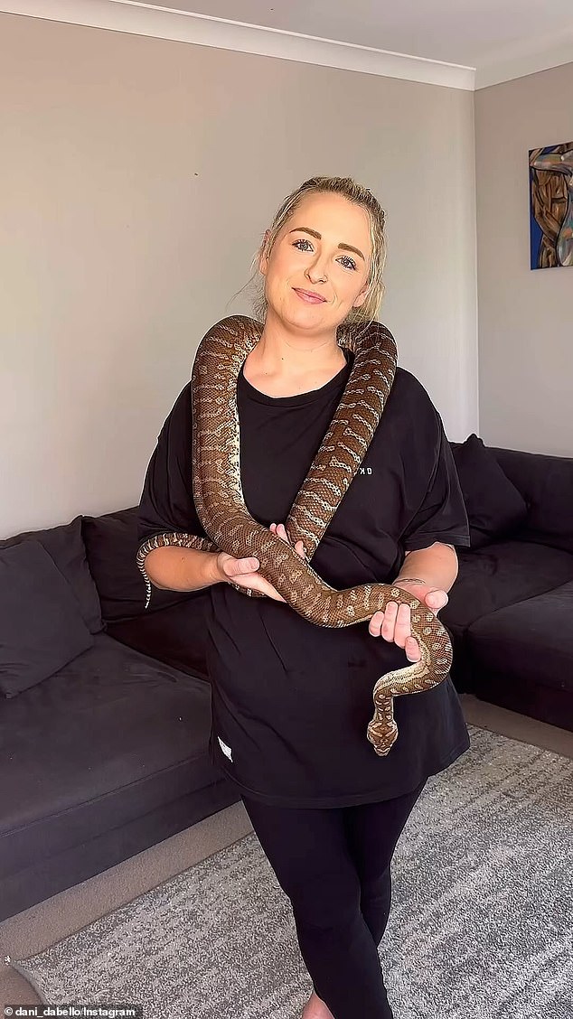 Australian porn star Dani Dabello has shared a horrific story of how her pet python bit one of her co-stars on the genitals.  (Dani is shown with the reptile)