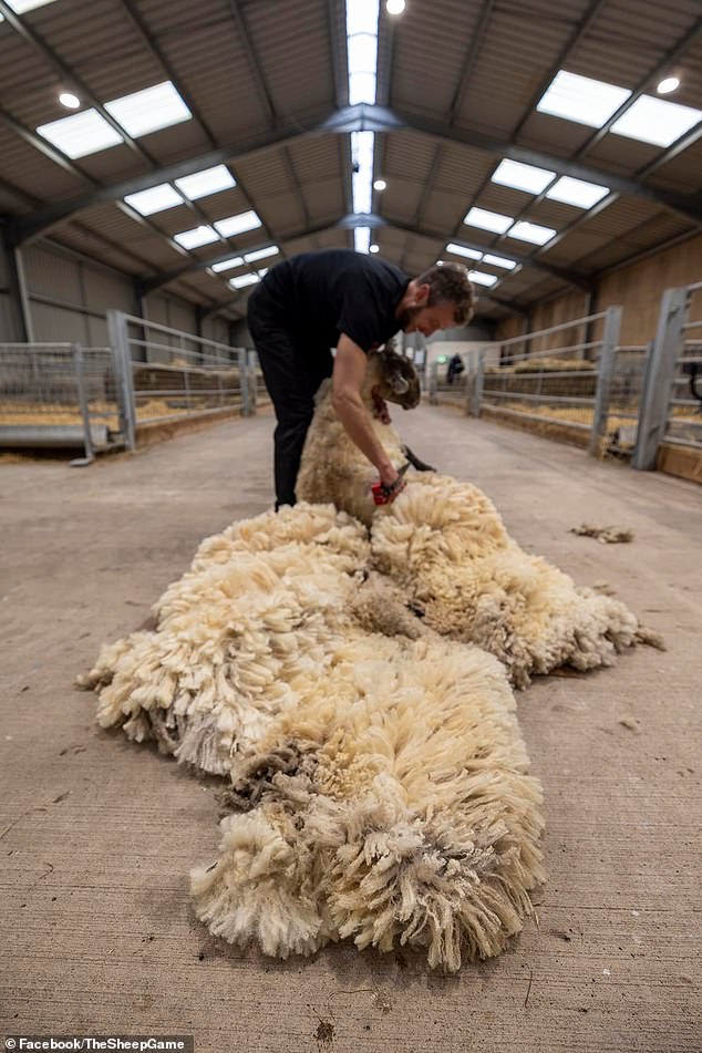 Fiona was sneaked past demonstrators with banners into the Dalscone Family Farm in Dumfries at night by owner 'Farmer Ben Best'