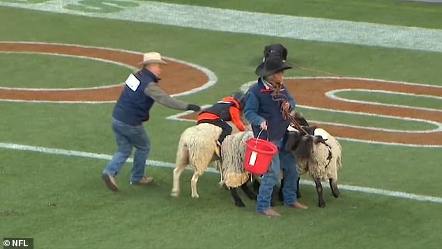 A kid held his sheep all the way to the Broncos end zone after starting at the 30-yard line