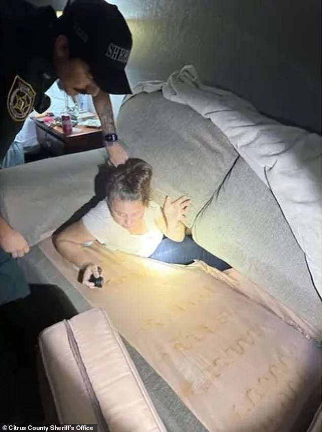 A Florida fugitive was found hiding in a couch by police after weeks on the run due to a probation violation