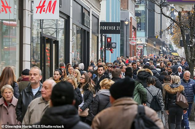 Large crowds, crowded aisles, long lines and chaos trying to get the best deals can make holiday shopping an extremely stressful ordeal (stock image)