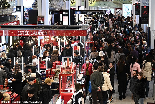 Black Friday shoppers broke the record for online sales at nearly $10 billion