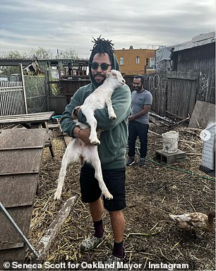 Scott shared images of him with baby goats in a community garden in the run-up to the election