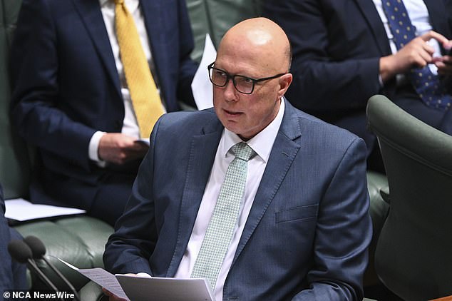 After weeks of criticism from the Coalition and the general public over this measure, the gloves are finally off and Labor has placed the blame squarely at the feet of Peter Dutton.