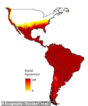 Above, in red, the estimated distribution of vampire bats from 1901 to 2019, with the deeper reds showing the highest likelihood, based on the researchers' confidence in their data and modeling work