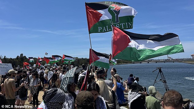 A large crowd gathered in Port Botany to protest the Israeli-owned ship.  Photo: NCA NewsWire/Dylan Robinson.