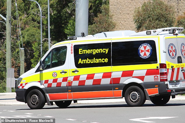 A boy was pulled from Sydney's Parramatta River after he was spotted along an active ferry route about 11.30am on Sunday (stock image)