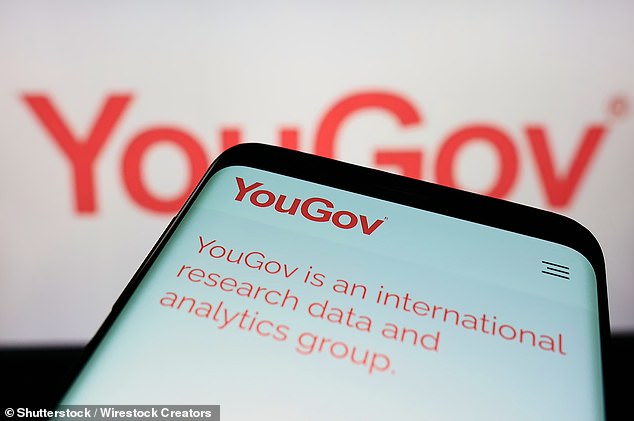 Boost: YouGov's activities include conducting surveys and providing data to companies and its market value is £1.1 billion