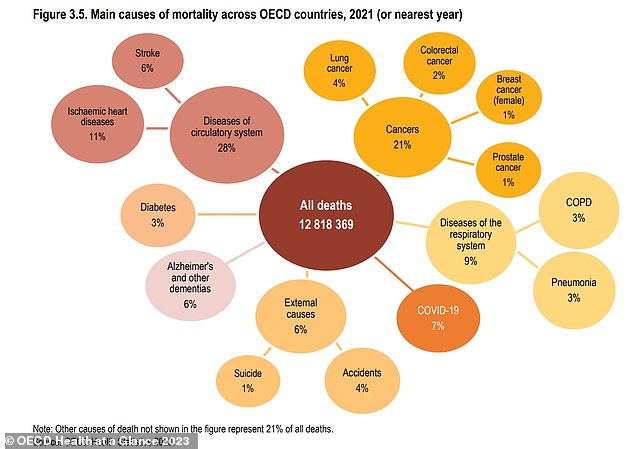 Above you see the percentages of causes of death around the world.  Circulatory diseases were responsible for 28 percent of deaths worldwide, and cancer accounted for 21 percent.  Covid was responsible for seven percent of deaths