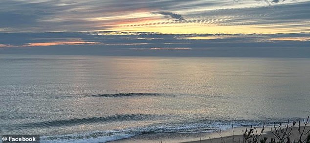 Trautz posted a photo of Coast Guard Beach.  He hit the shark with his paddle as it looked at his cousin's leg