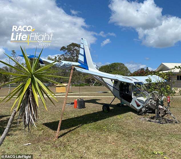 A light aircraft has been shot down in the Noosa region of Queensland, hitting a tree during an emergency landing