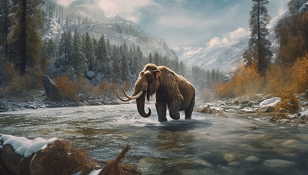 The last woolly mammoth went extinct about 4,000 years ago, but if the folks at Colossal Biosciences have their way, a calf will be born by 2028.