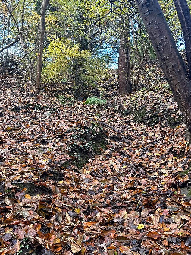 A dog owner has posted a 'harder than Where's Wally' challenge of his black Labrador - but can YOU spot him?