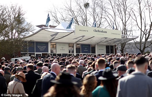 Cheltenham Racecourse will host a crowd of more than 30,000 for Gold Cup Day on Saturday