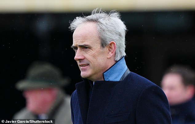 Ruby Walsh is the emblem of a modern expert, who pays attention to every little detail