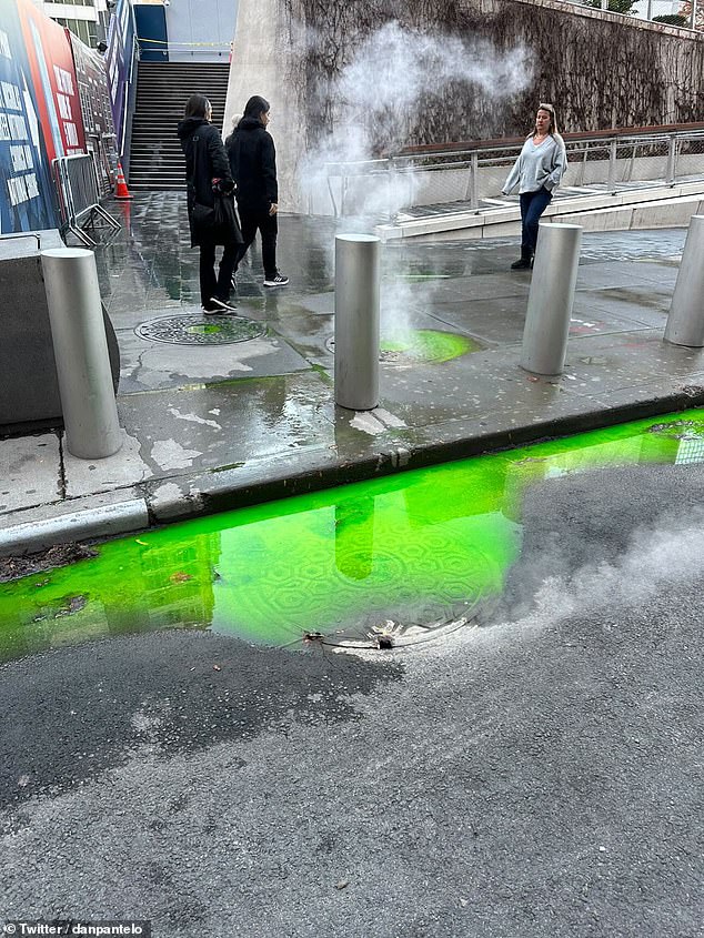 Dan Pantelo from New York captured the images of the green sludge flowing down the street