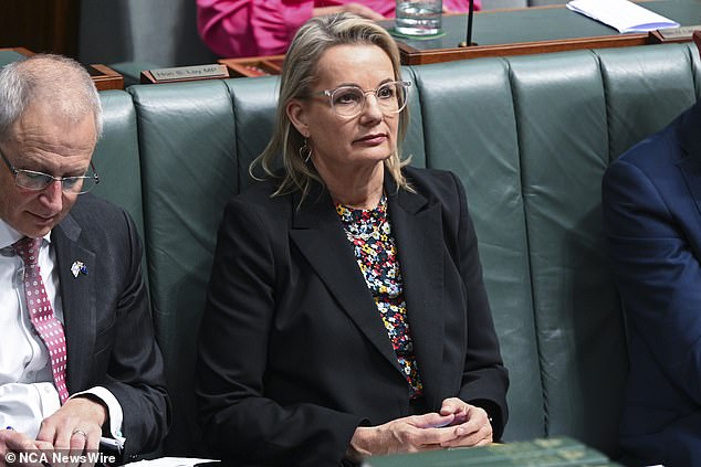 Liberal deputy leader Sussan Ley has called for a pause on new strip clubs to investigate the welfare of strippers and the effect they have on men