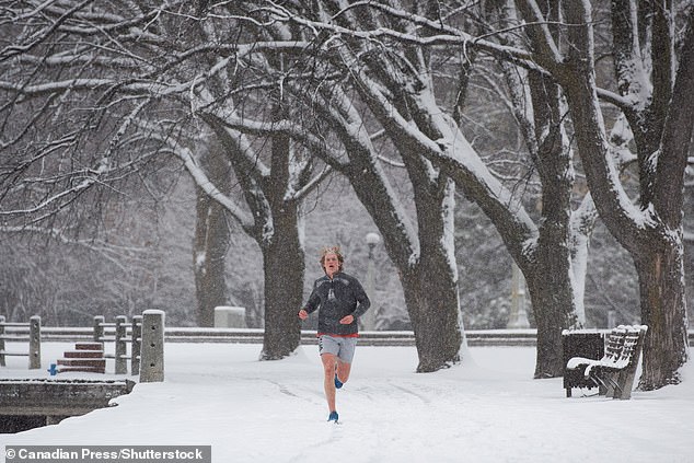 One golden rule is never leave the house with wet hair in winter – it's a recipe for hair loss