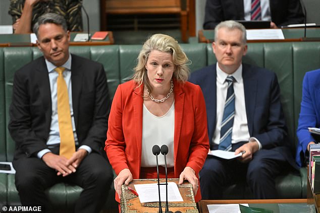 Embattled Home Secretary Clare O'Neil (pictured) first leveled the smear against Mr Dutton on Wednesday and it was repeated on live breakfast television by Sports Minister Anika Wells on Thursday.