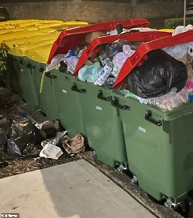 Residents in Sydney's inner west are furious over a major change to waste collection, with their bins now overflowing (pictured) with rubbish