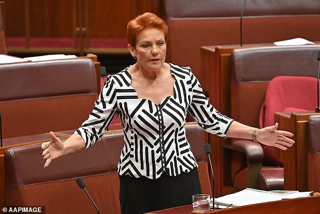 One Nation Senator Pauline Hanson has now promised to put legislation before Parliament to put recently released prisoners back behind bars