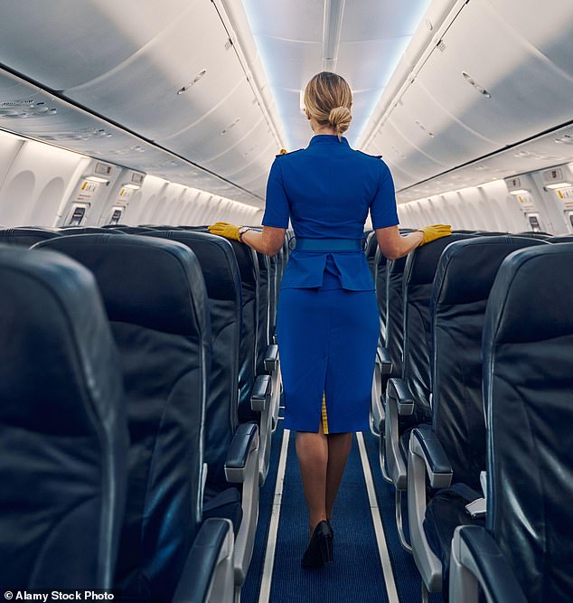 An anonymous flight attendant shared how much she hates her job on Reddit, saying it feels like she's in a 'cult' (stock image)