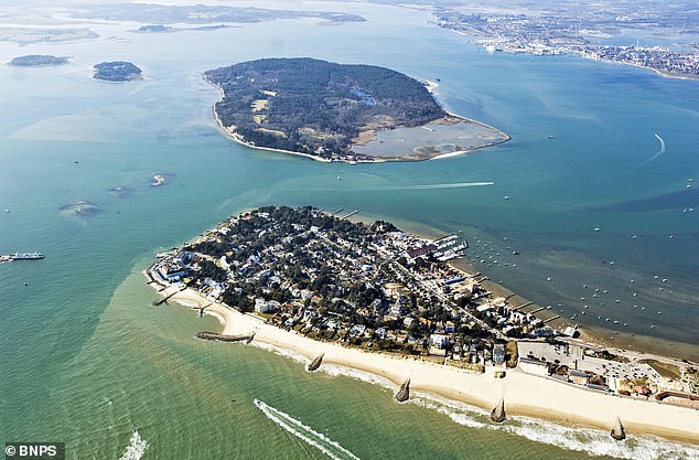 A National Trust ranger came across the print while running around Brownsea Island in Poole Harbour, Dorset (pictured)