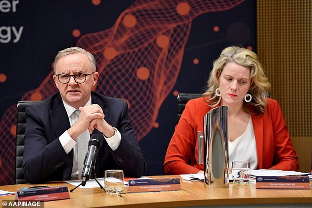 The new legal challenge is another headache for Anthony Albanese and Home Secretary Clare O'Neil