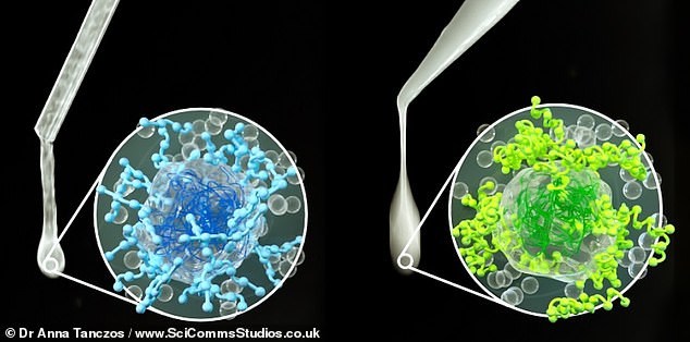 Pictured: A graphical representation of the structure of the new water-based lubricants.  The dairy version is on the left, the vegan version on the right.  It shows the proteins – seen as a dark blue and dark green mesh-like structures of the hydrated microgel, partially covered by a hydrogel made by a polysaccharide