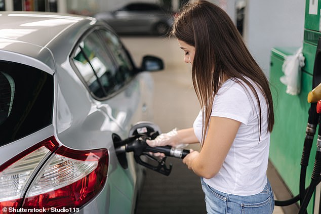 Mining magnate Gina Rinehart has called on the federal government to halve fuel duty as a 'Christmas bonus' for Australians struggling with rising prices